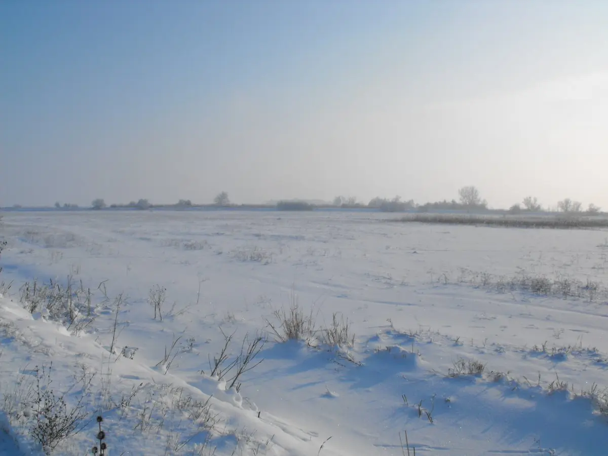 Behavazott síkvidéki táj