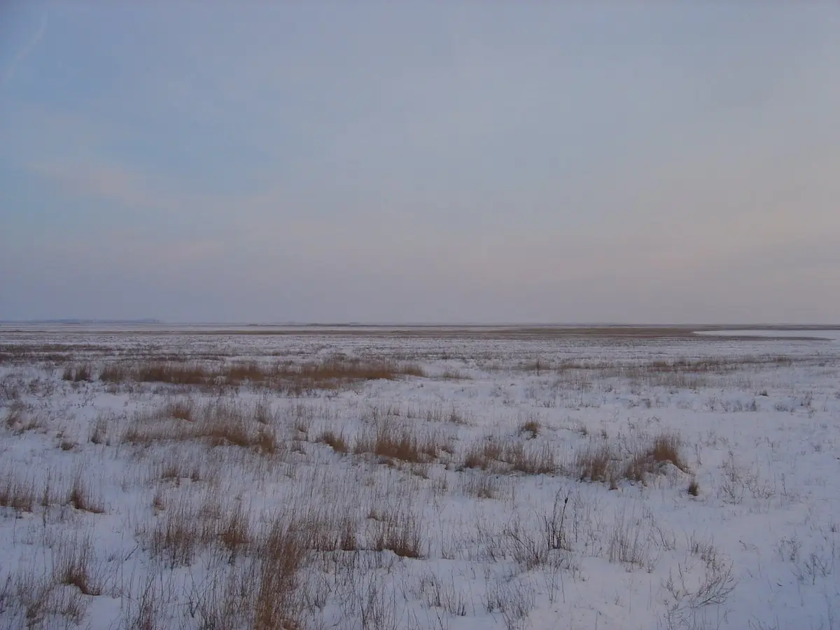 Behavazott síkvidéki táj