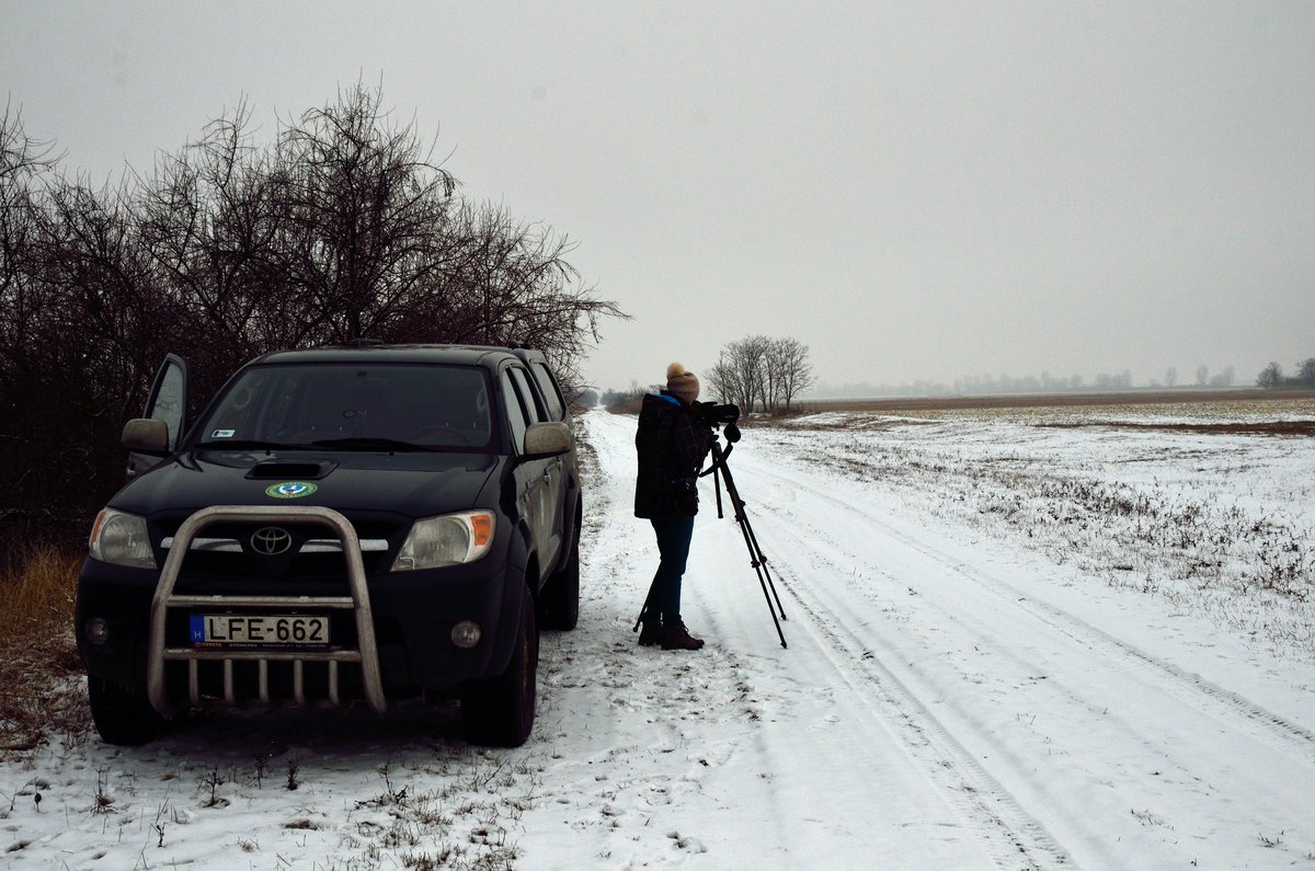 Egy hölgy egy teleszkópba néz egy pickup mellett