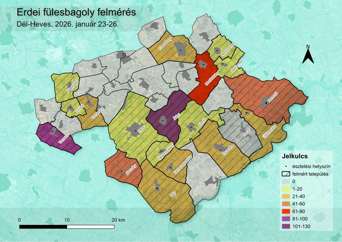 Térkép a 2026 januári erdei fülesbagoly telelőhely felmérés dél-hevesi eredményeiről