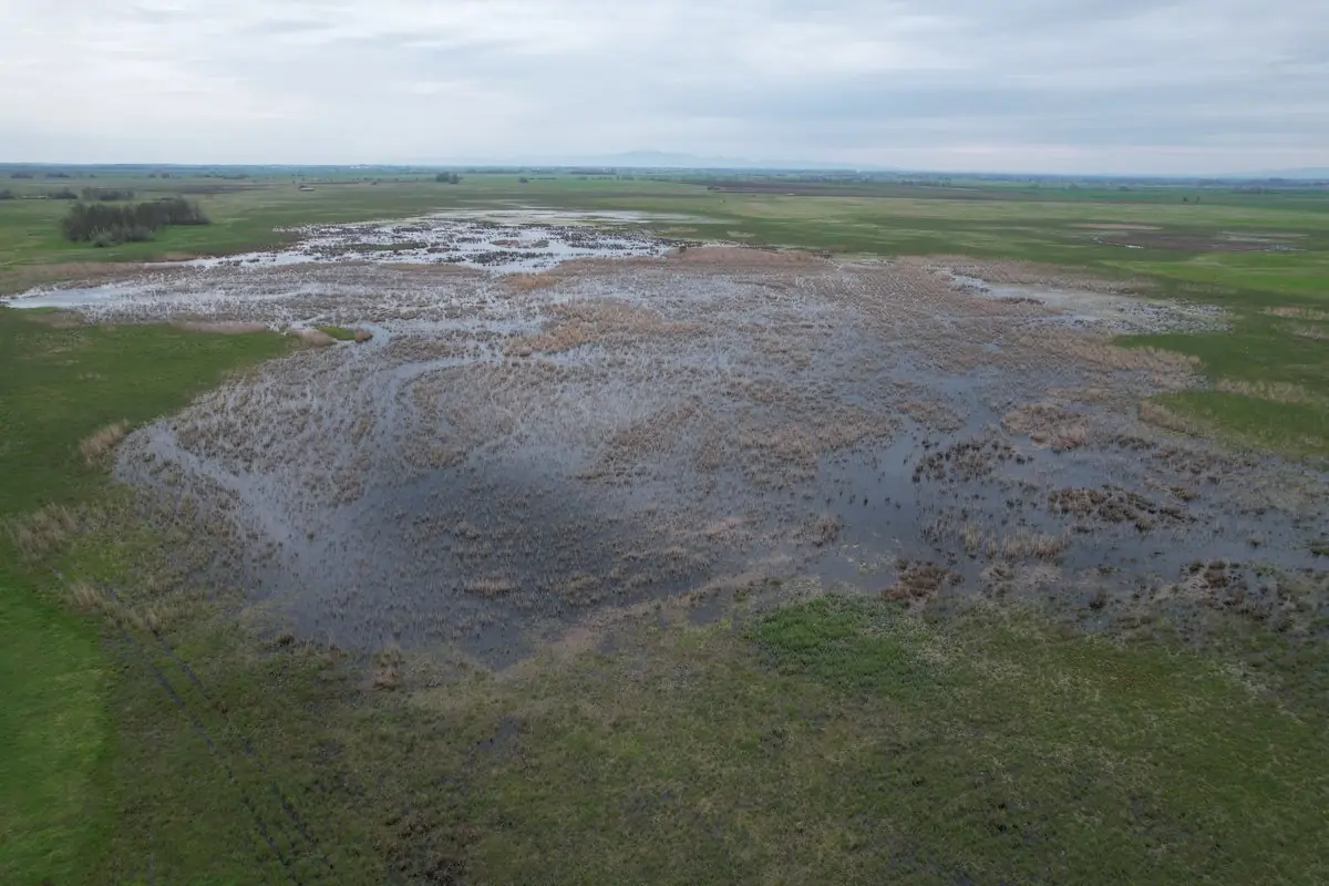 A Rakottyás mocsara madártávlatból