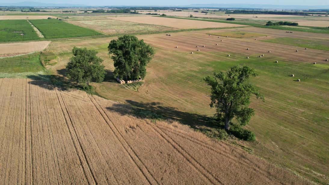 Időszakosan víz által borított gyep hatalmas nyárfákkal a szántók ölelésében Poroszlón