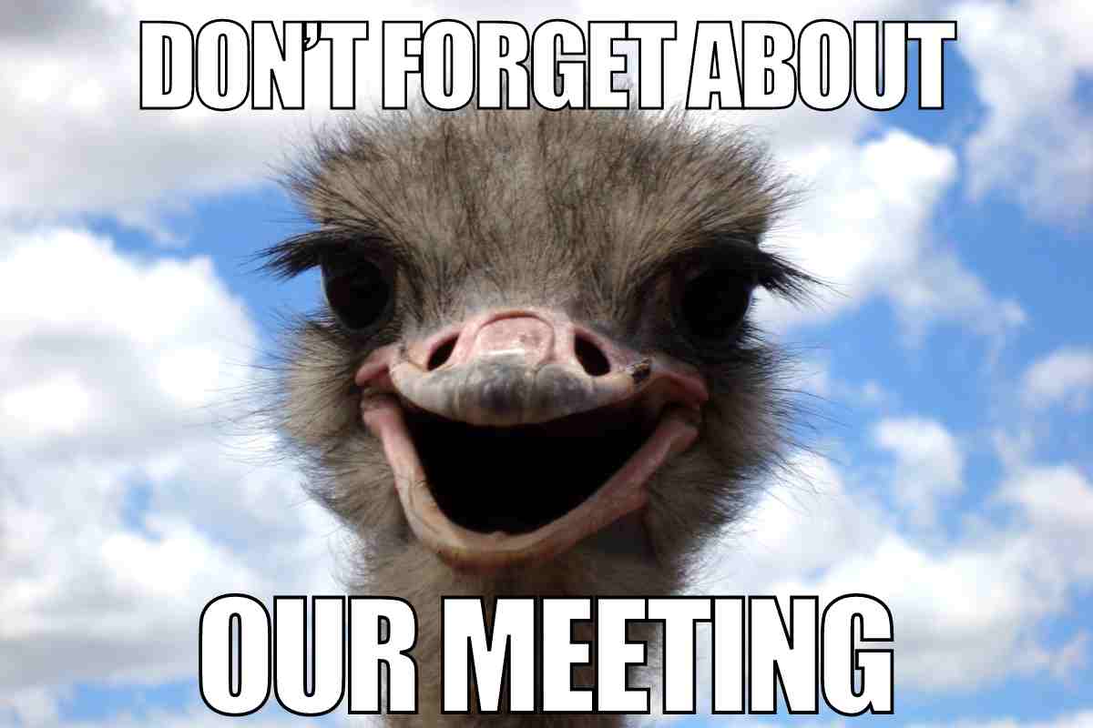 Évnyitó Közgyűlés Közgyűlés 2026